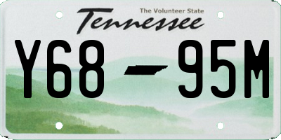 TN license plate Y6895M