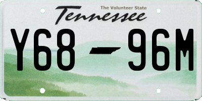 TN license plate Y6896M