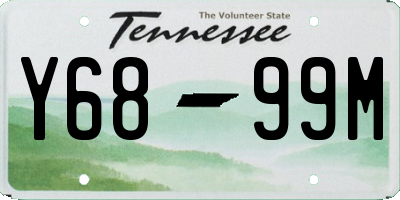 TN license plate Y6899M