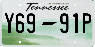 TN license plate Y6991P