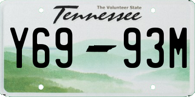 TN license plate Y6993M