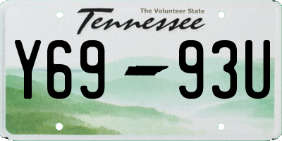 TN license plate Y6993U