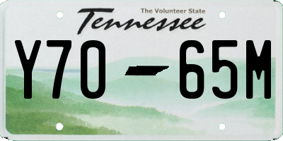 TN license plate Y7065M