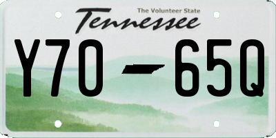 TN license plate Y7065Q