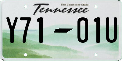 TN license plate Y7101U