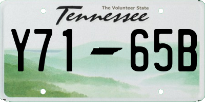 TN license plate Y7165B