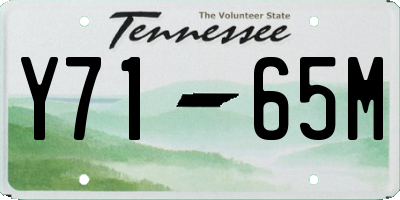 TN license plate Y7165M