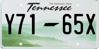 TN license plate Y7165X