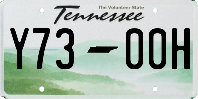 TN license plate Y7300H