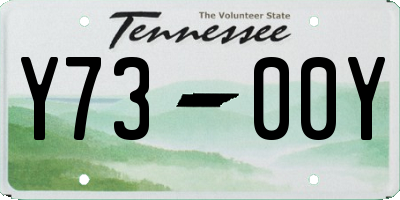 TN license plate Y7300Y
