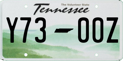 TN license plate Y7300Z