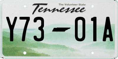 TN license plate Y7301A