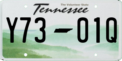 TN license plate Y7301Q