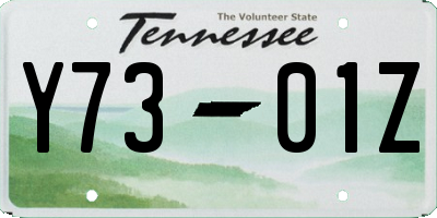 TN license plate Y7301Z
