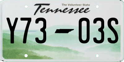 TN license plate Y7303S