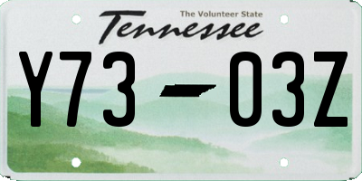 TN license plate Y7303Z