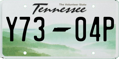 TN license plate Y7304P