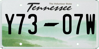 TN license plate Y7307W