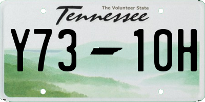 TN license plate Y7310H