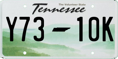 TN license plate Y7310K