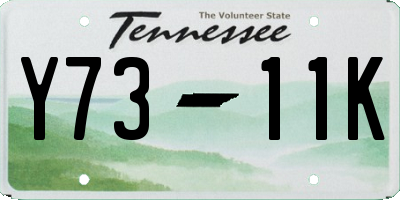 TN license plate Y7311K
