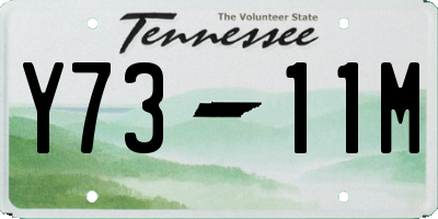TN license plate Y7311M