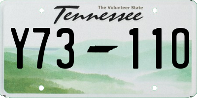 TN license plate Y7311O