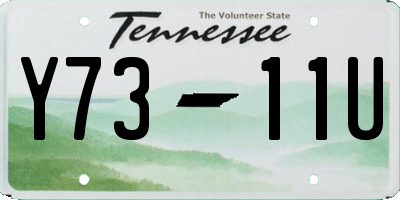 TN license plate Y7311U