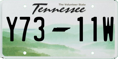 TN license plate Y7311W