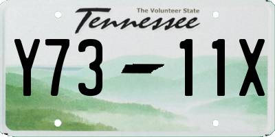 TN license plate Y7311X