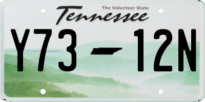 TN license plate Y7312N