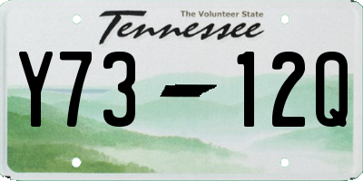 TN license plate Y7312Q