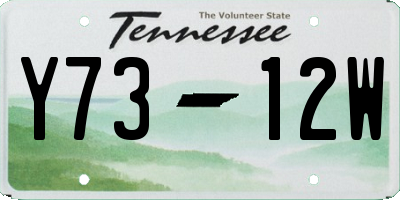 TN license plate Y7312W