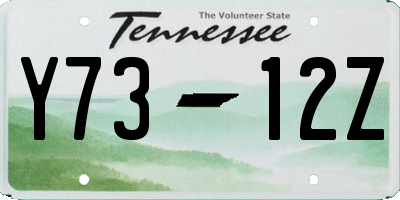 TN license plate Y7312Z