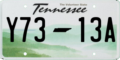 TN license plate Y7313A