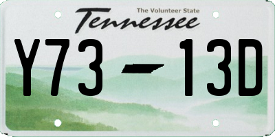 TN license plate Y7313D