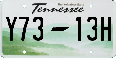 TN license plate Y7313H