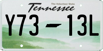 TN license plate Y7313L