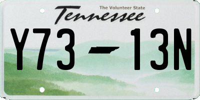 TN license plate Y7313N