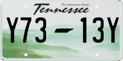 TN license plate Y7313Y