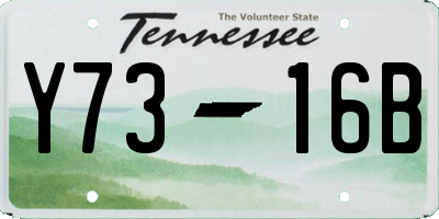 TN license plate Y7316B