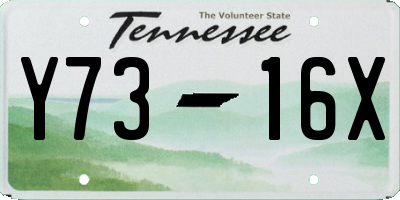 TN license plate Y7316X