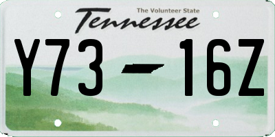 TN license plate Y7316Z