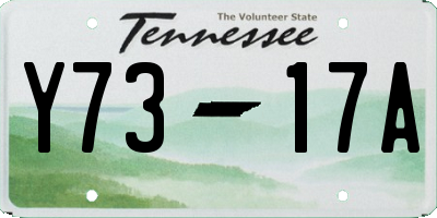 TN license plate Y7317A
