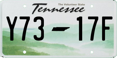 TN license plate Y7317F