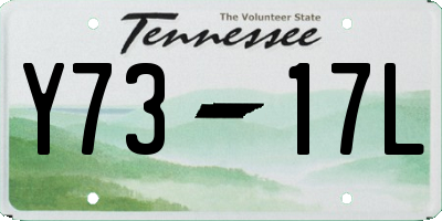 TN license plate Y7317L