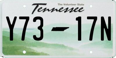 TN license plate Y7317N