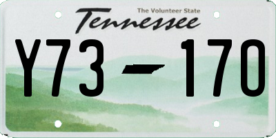 TN license plate Y7317O