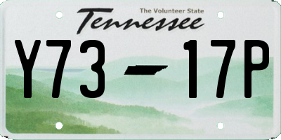 TN license plate Y7317P