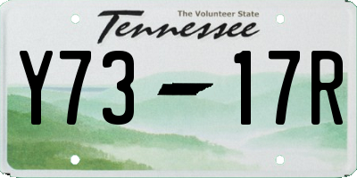 TN license plate Y7317R